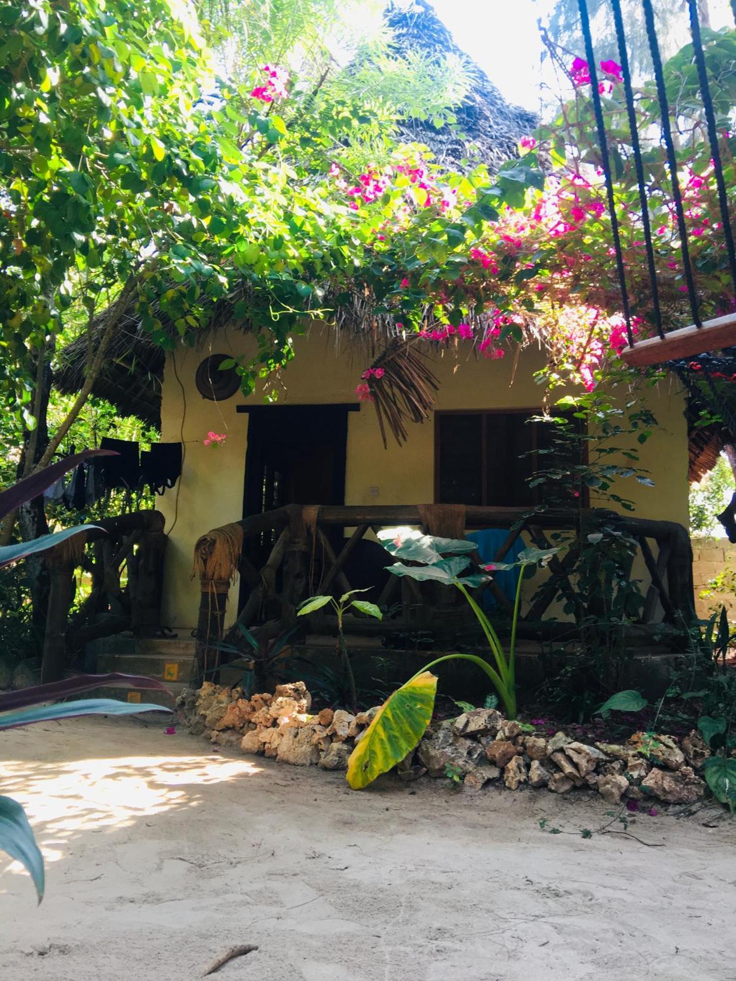 Hotel Casa Umoja Nungwi Esterno foto