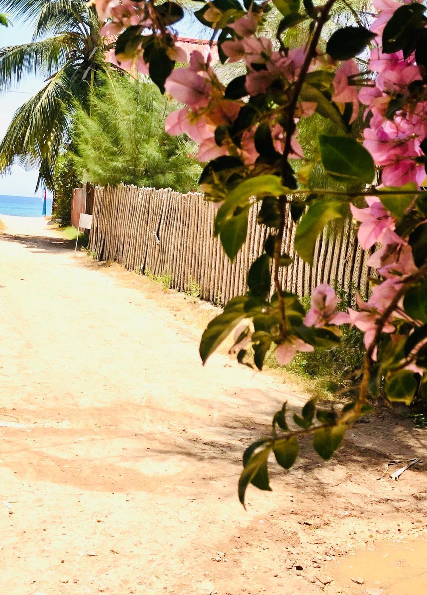 Hotel Casa Umoja Nungwi Esterno foto